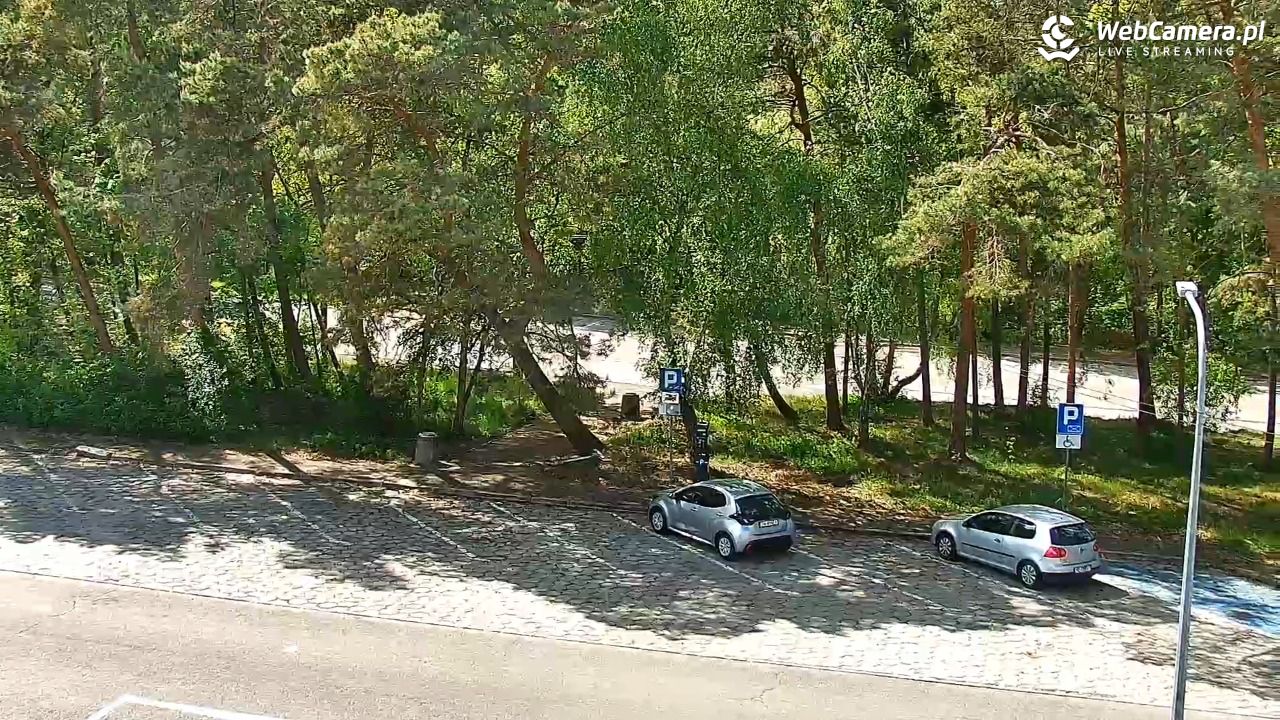 Krynica Morska ul. Marynarska NOWOŚĆ - 23 maj 2025, 14:22