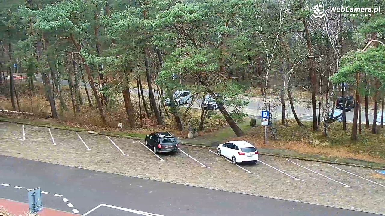 Krynica Morska ul. Marynarzy NOWOŚĆ - 27 grudzień 2025, 12:30