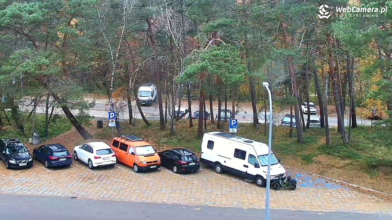 Krynica Morska ul. Marynarzy NOWOŚĆ - 09 listopad 2025, 09:00