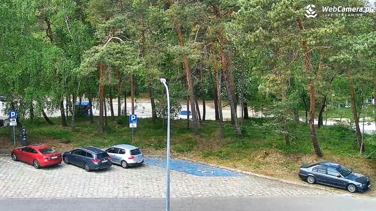 Krynica Morska ul. Marynarska NOWOŚĆ - 23 maj 2025, 12:35