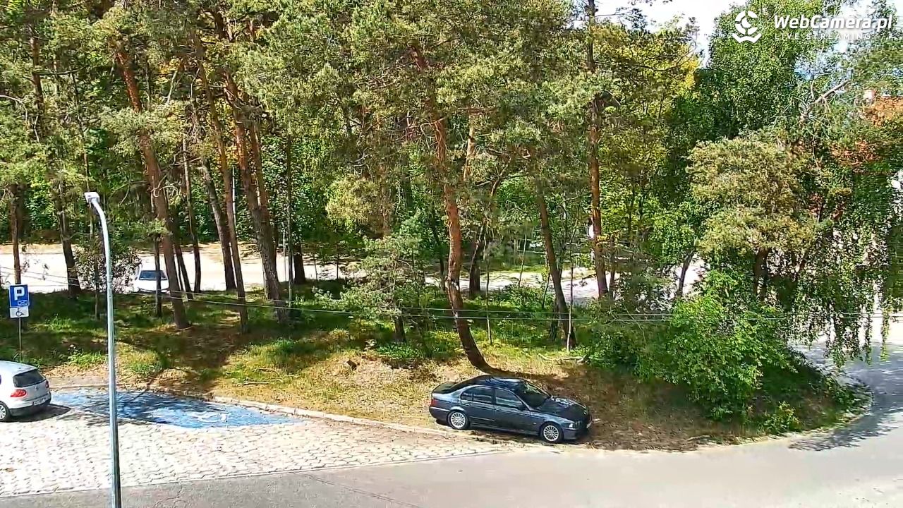 Krynica Morska ul. Marynarska NOWOŚĆ - 23 maj 2025, 12:35