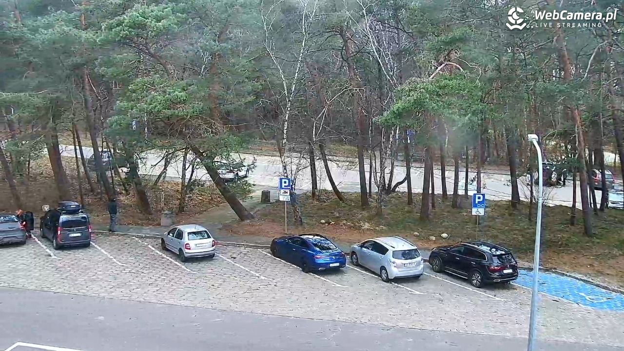 Krynica Morska ul. Marynarzy NOWOŚĆ - 28 grudzień 2025, 13:32