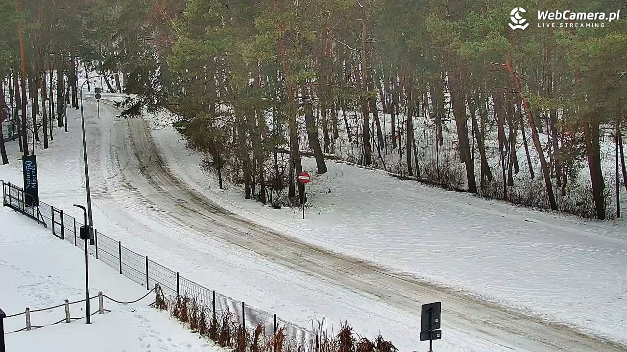 Krynica Morska ul. Marynarzy NOWOŚĆ - 12 luty 2026, 12:38