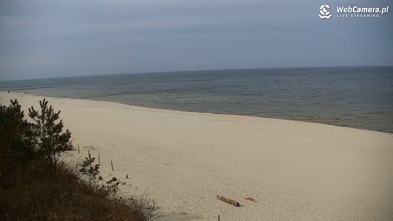 Krynica Morska - widok na plażę - 25 marzec 2026, 12:02