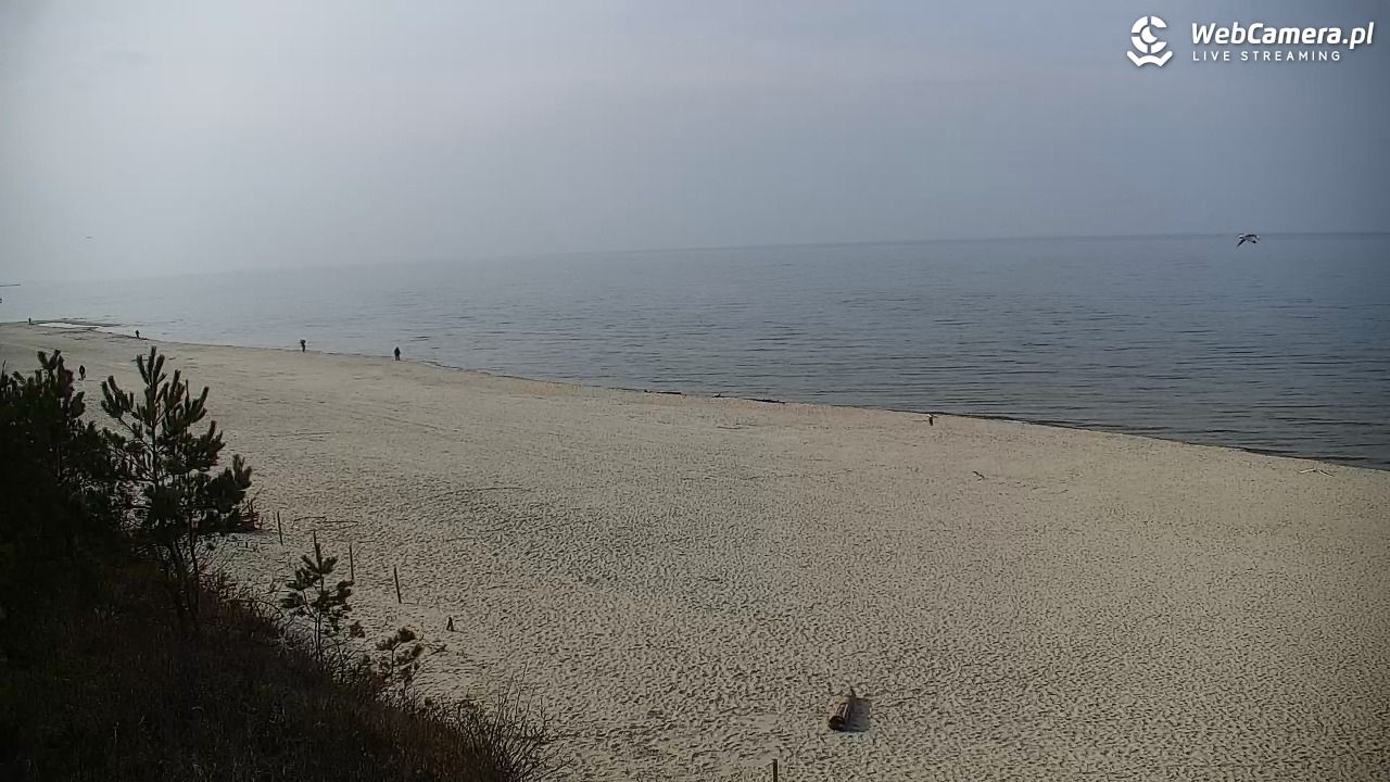 Krynica Morska - widok na plażę - 24 marzec 2026, 13:48