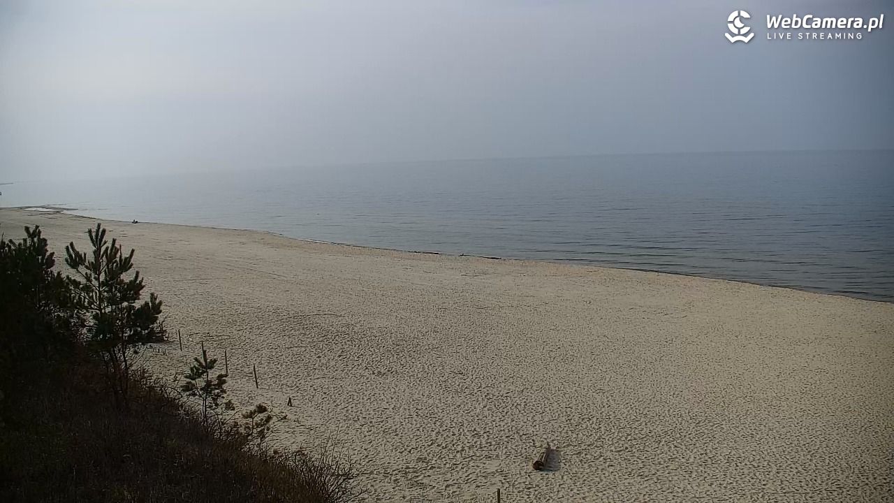 Krynica Morska - widok na plażę - 24 marzec 2026, 14:08