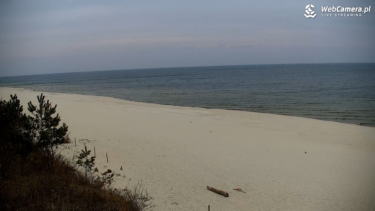 Krynica Morska - widok na plażę - 25 marzec 2026, 13:37