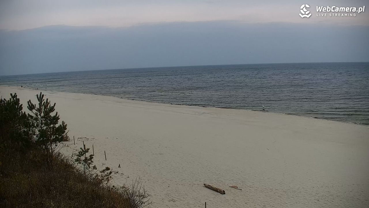 Krynica Morska - widok na plażę - 25 marzec 2026, 14:31