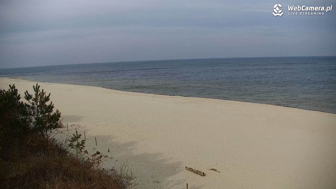 Krynica Morska - widok na plażę - 25 marzec 2026, 09:04