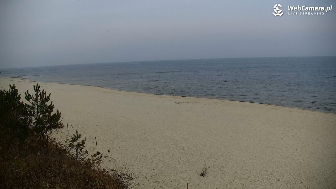 Krynica Morska - widok na plażę - 24 marzec 2026, 08:51
