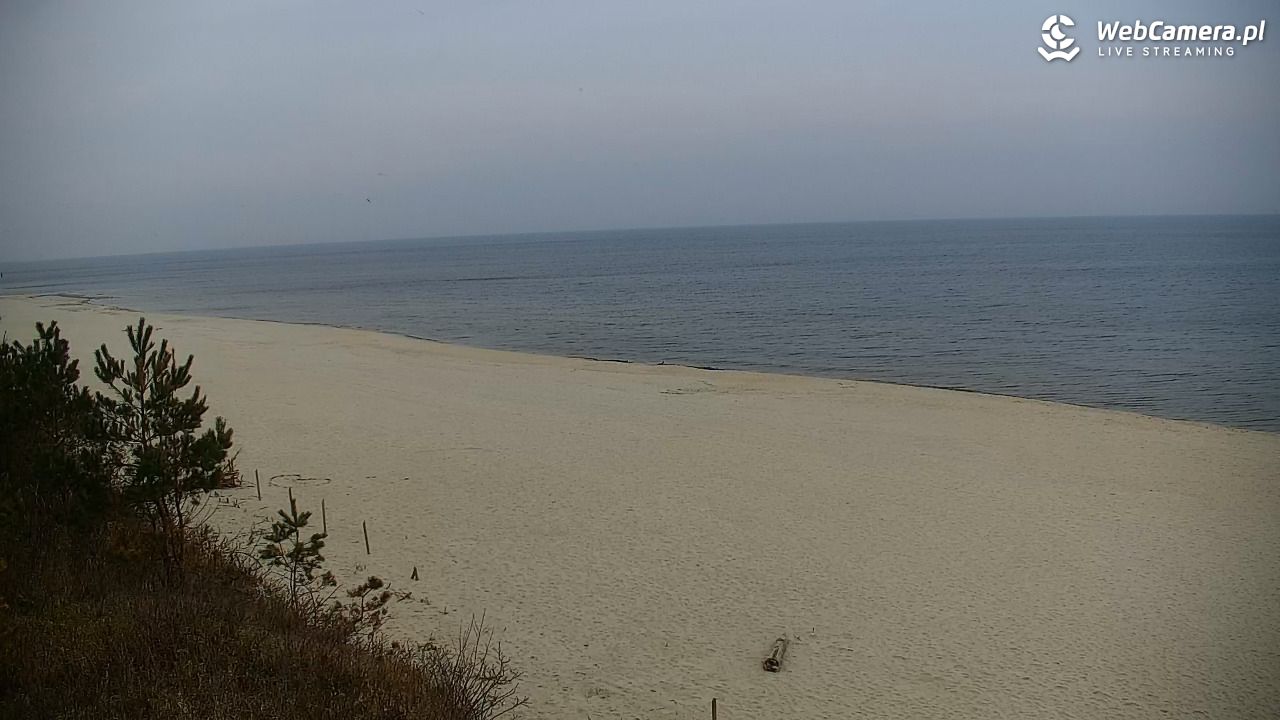 Krynica Morska - widok na plażę - 24 marzec 2026, 08:51