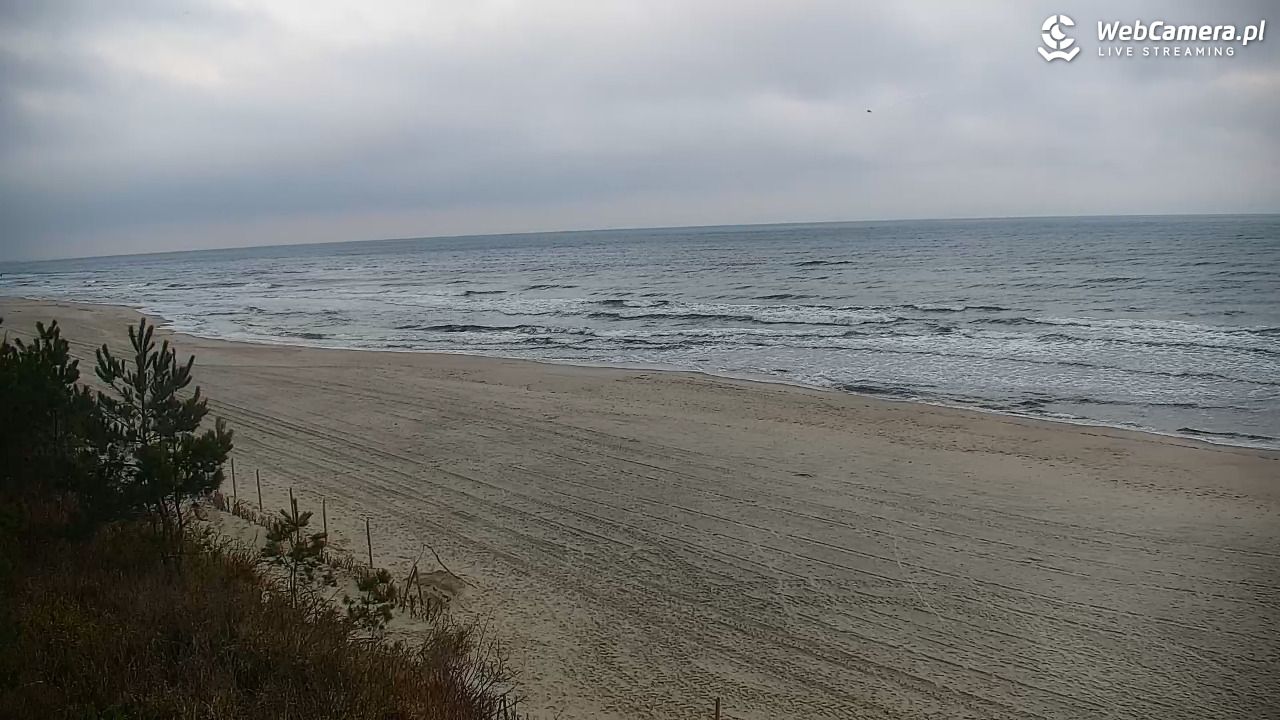 Krynica Morska - widok na plażę - 15 grudzień 2025, 08:09