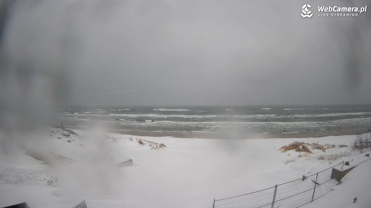 Krynica Morska - widok na plaże NOWOŚĆ - 13 luty 2026, 16:15
