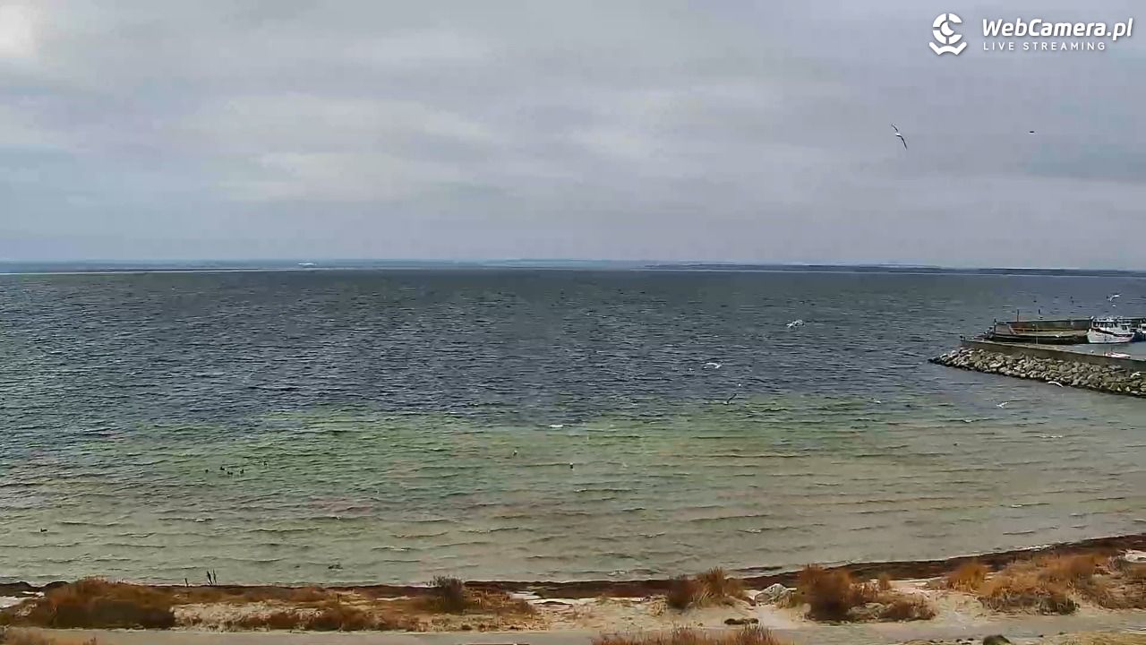 Kuźnica - Zatoka Pucka - 13 grudzień 2025, 11:17