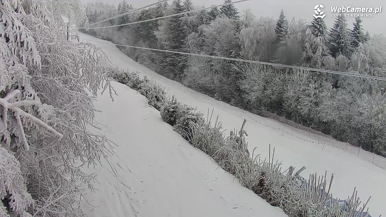 Laskowa-ski - widok na trasy - 01 luty 2026, 09:06
