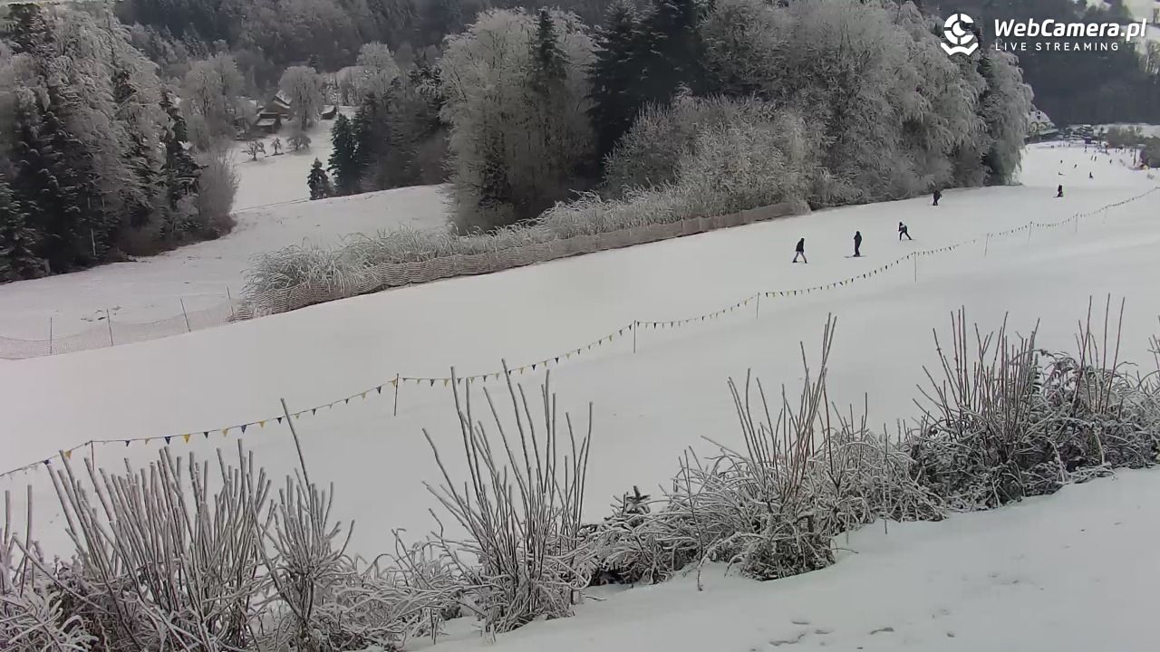 Laskowa-ski - widok na trasy - 01 luty 2026, 11:56