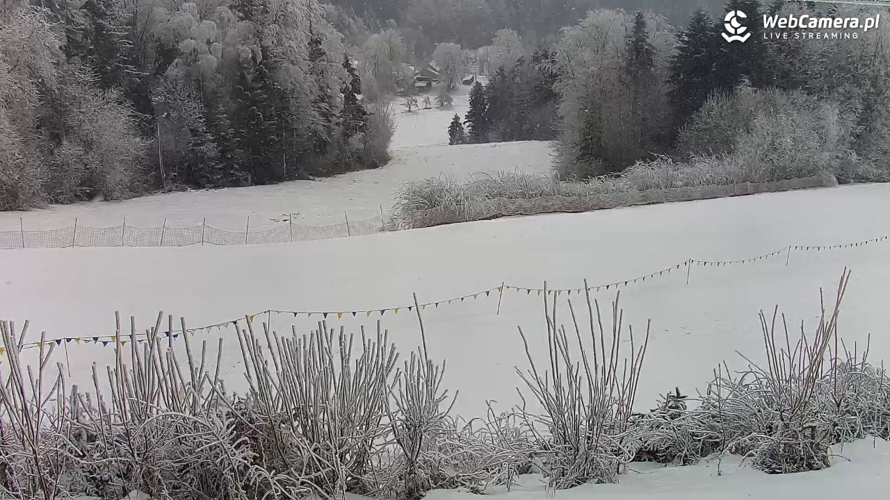 Laskowa-ski - widok na trasy - 01 luty 2026, 09:04