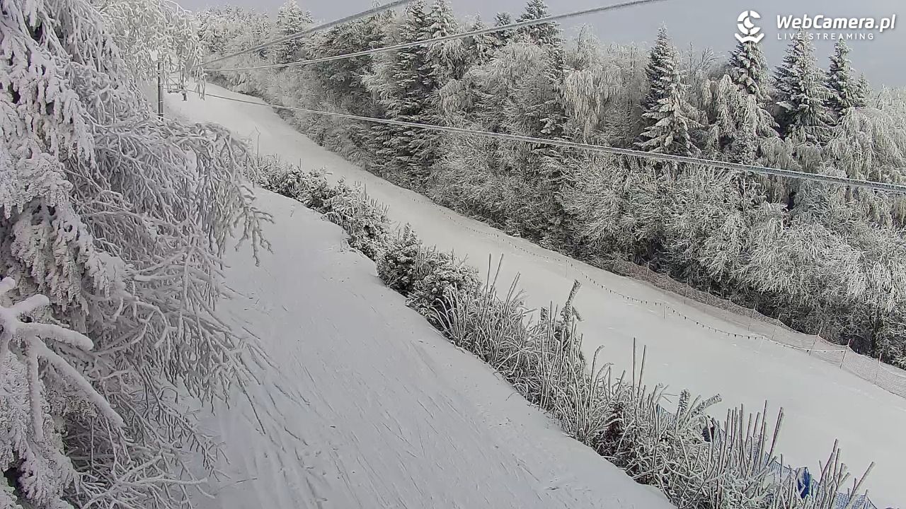 Laskowa-ski - widok na trasy - 03 luty 2026, 09:08