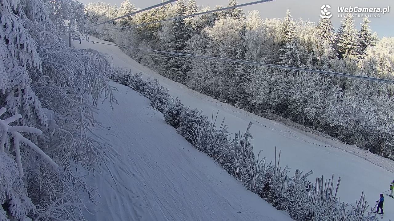 Laskowa-ski - widok na trasy - 02 luty 2026, 12:31