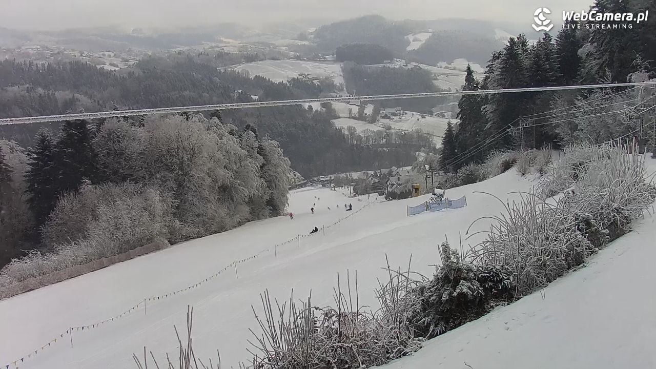 Laskowa-ski - widok na trasy - 01 luty 2026, 09:44