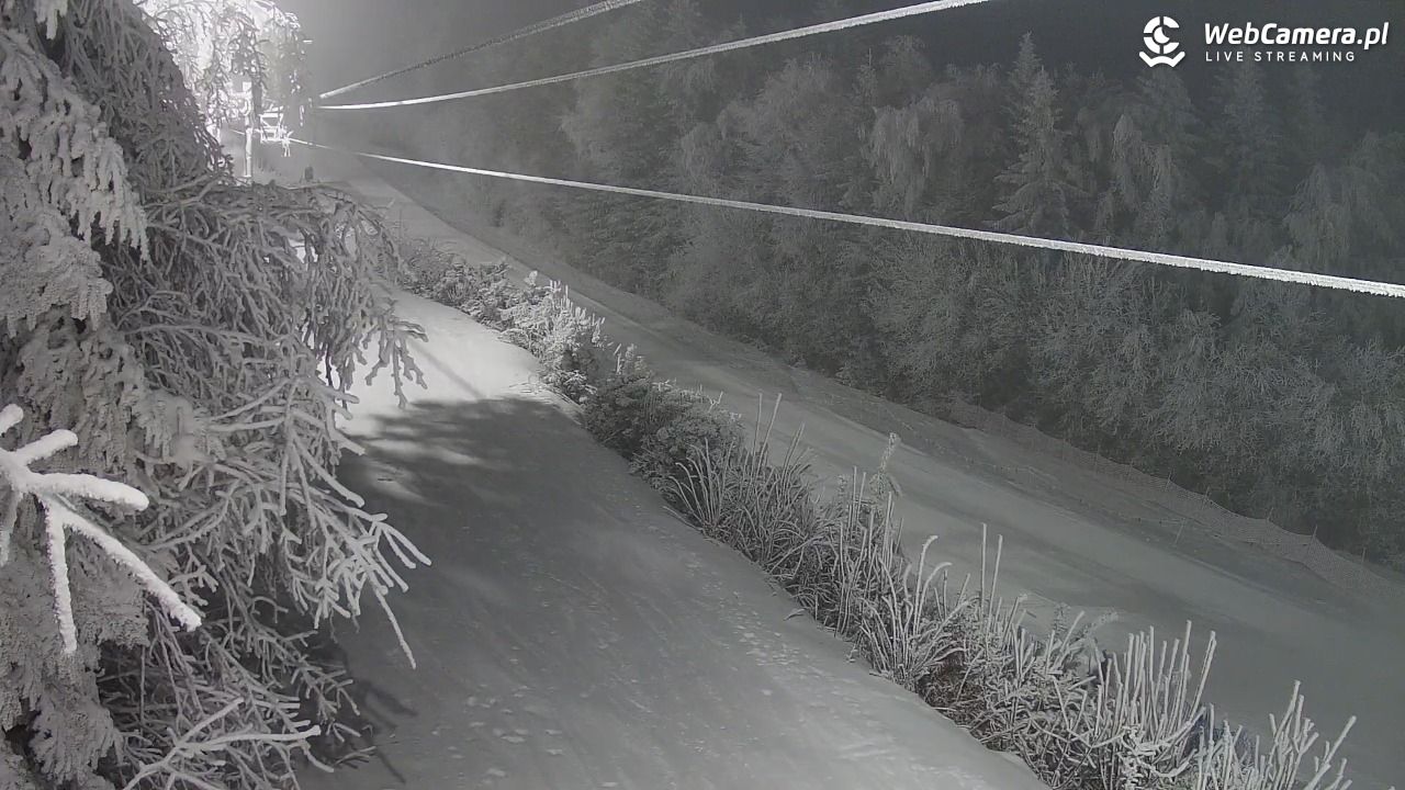 Laskowa-ski - widok na trasy - 03 luty 2026, 00:35