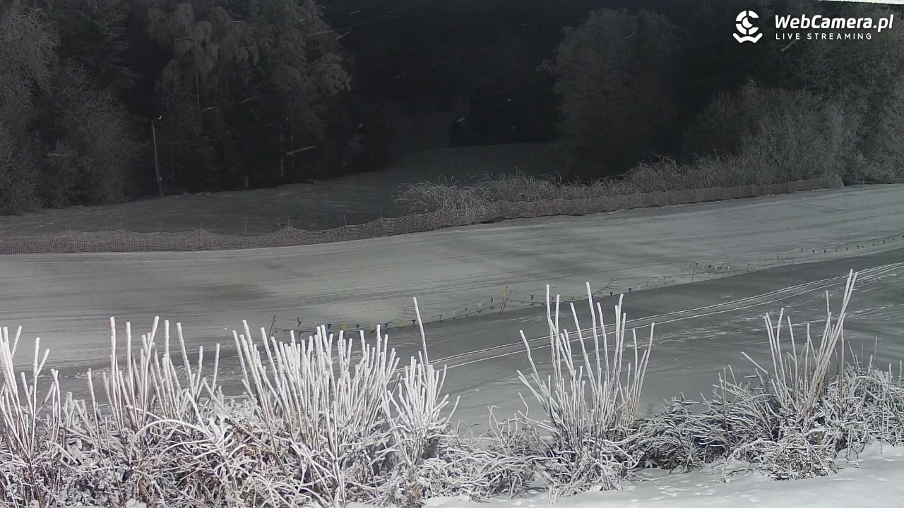 Laskowa-ski - widok na trasy - 01 luty 2026, 05:13