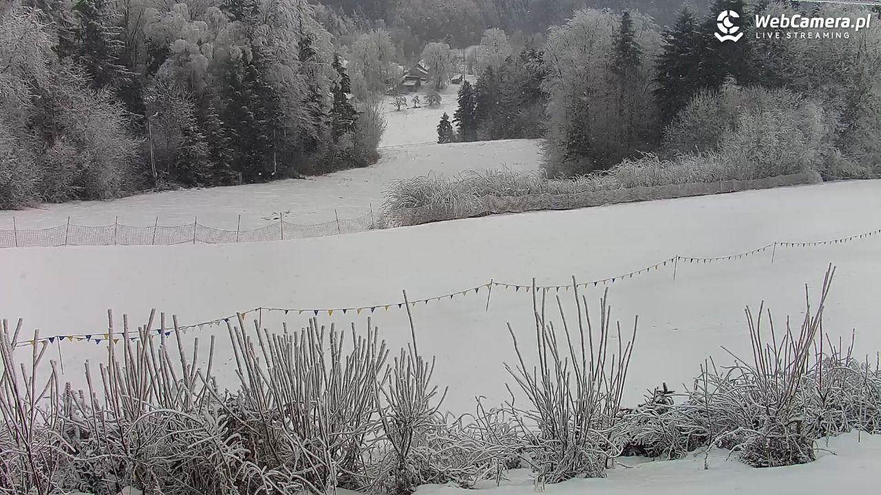 Laskowa-ski - widok na trasy - 01 luty 2026, 09:31