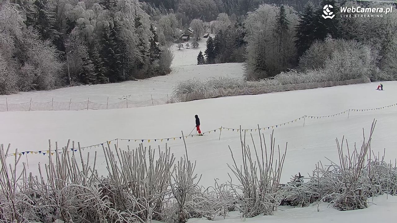 Laskowa-ski - widok na trasy - 01 luty 2026, 10:46