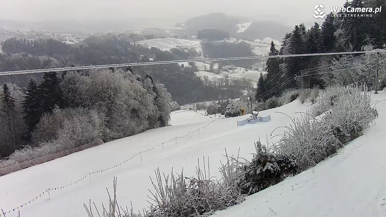 Laskowa-ski - widok na trasy - 01 luty 2026, 08:10