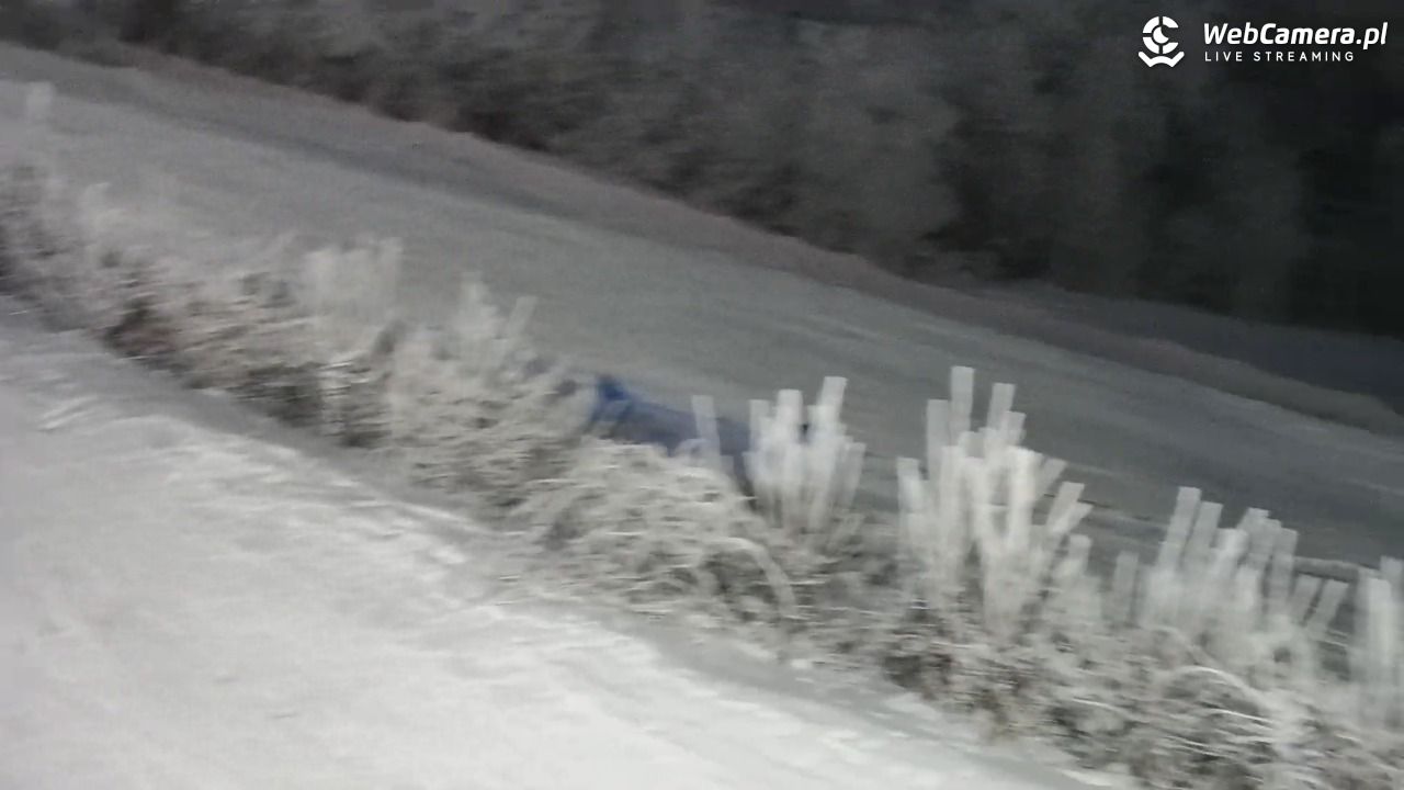 Laskowa-ski - widok na trasy - 01 luty 2026, 17:24