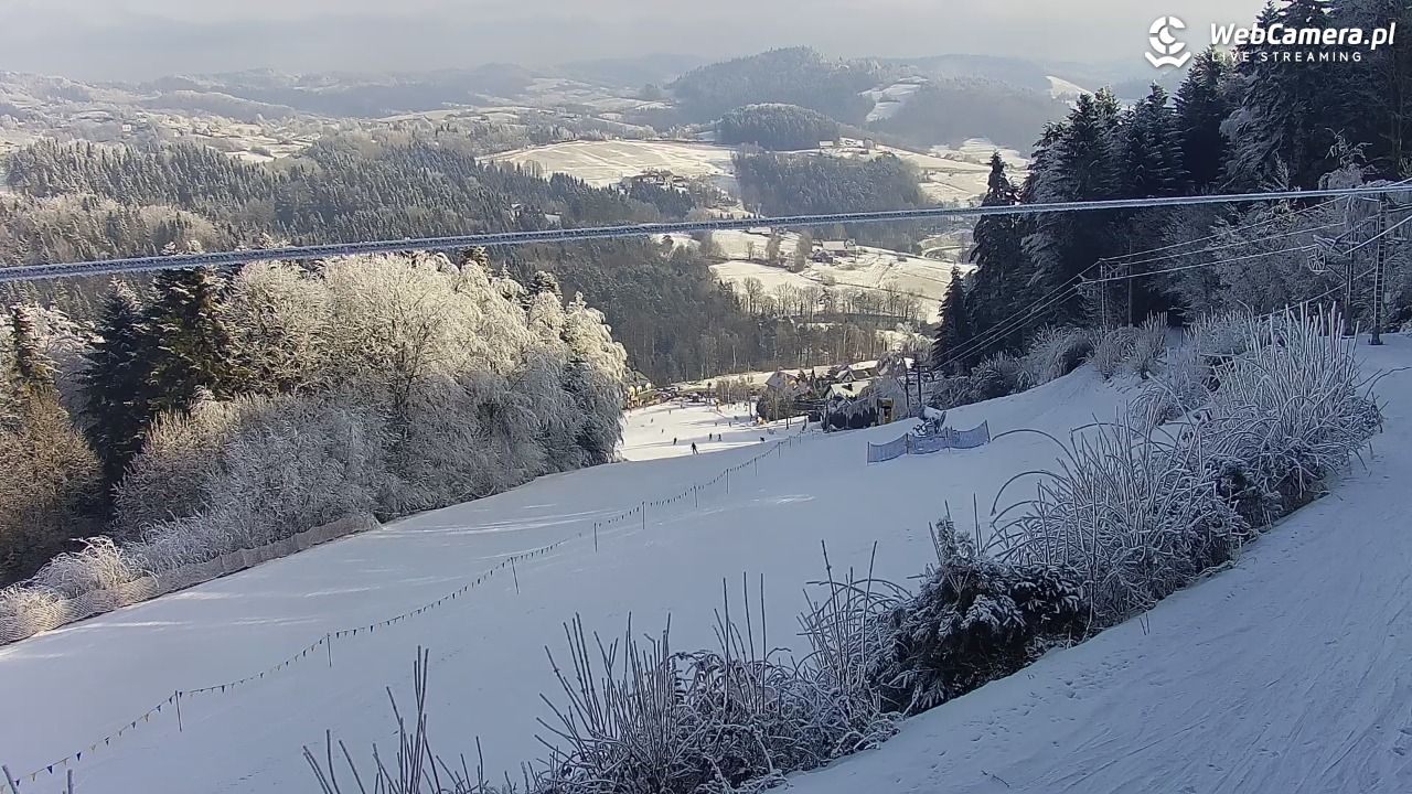 Laskowa-ski - widok na trasy - 02 luty 2026, 11:13