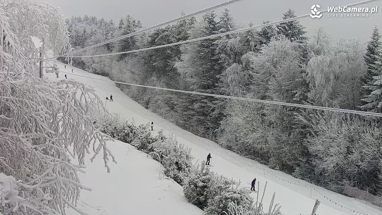 Laskowa-ski - widok na trasy - 01 luty 2026, 12:41