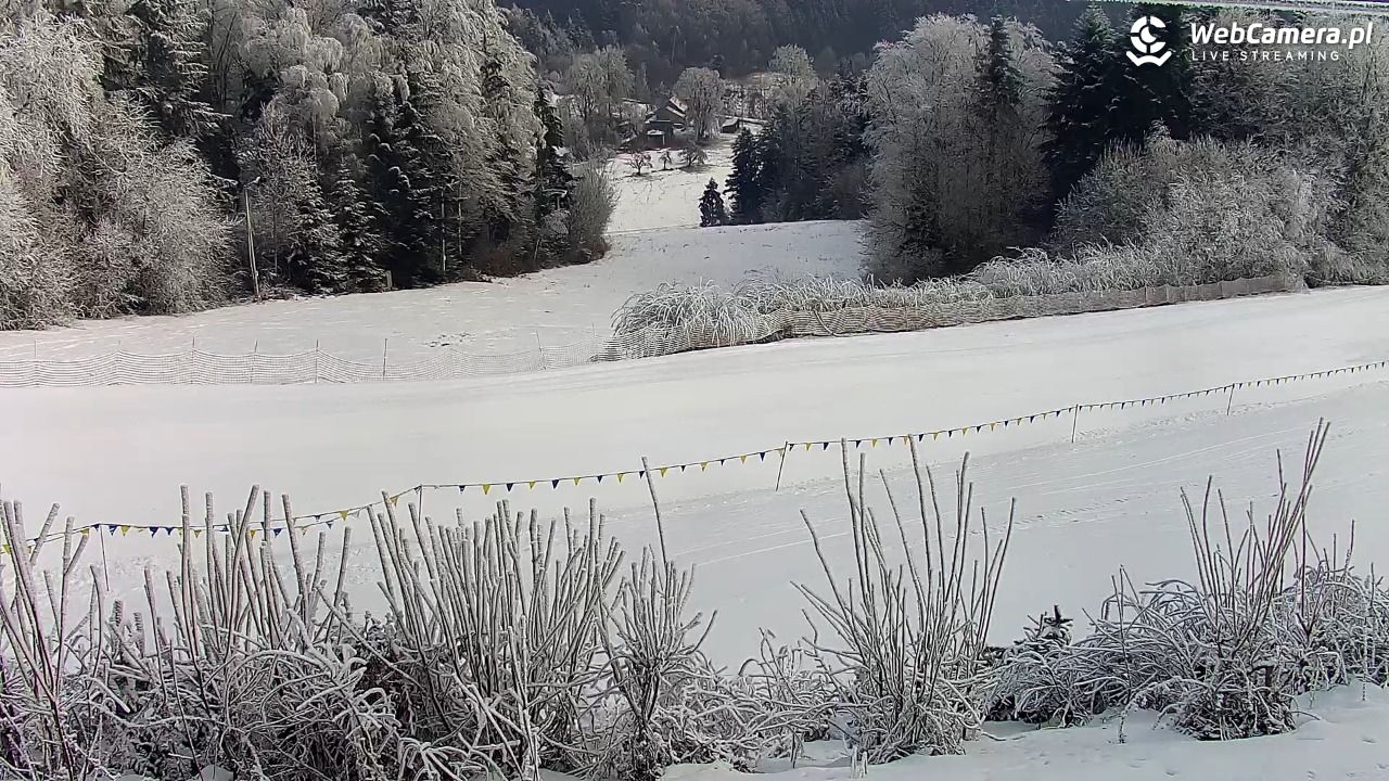 Laskowa-ski - widok na trasy - 03 luty 2026, 09:11