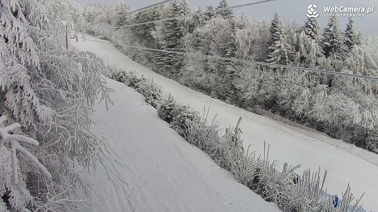 Laskowa-ski - widok na trasy - 03 luty 2026, 09:08