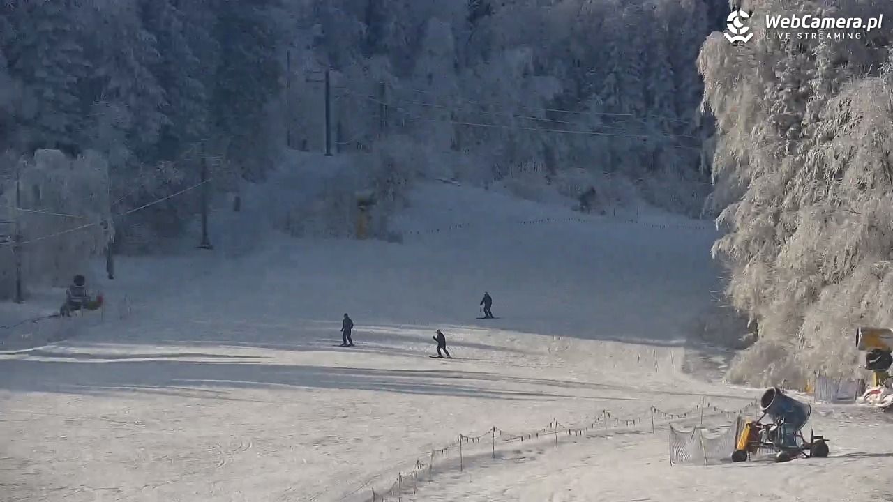 Laskowa-ski - widok z dolnej stacji - 02 luty 2026, 11:06