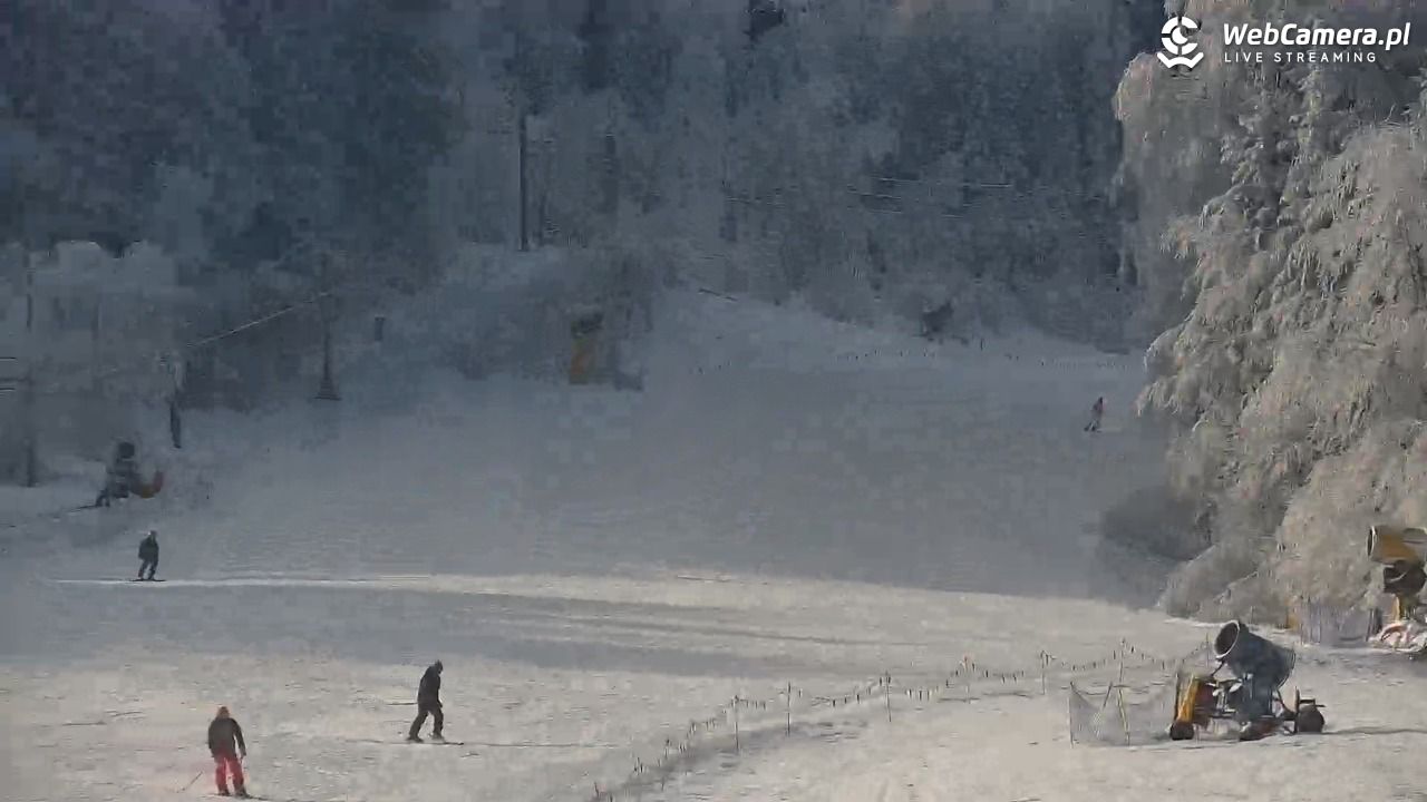 Laskowa-ski - widok z dolnej stacji - 02 luty 2026, 11:48