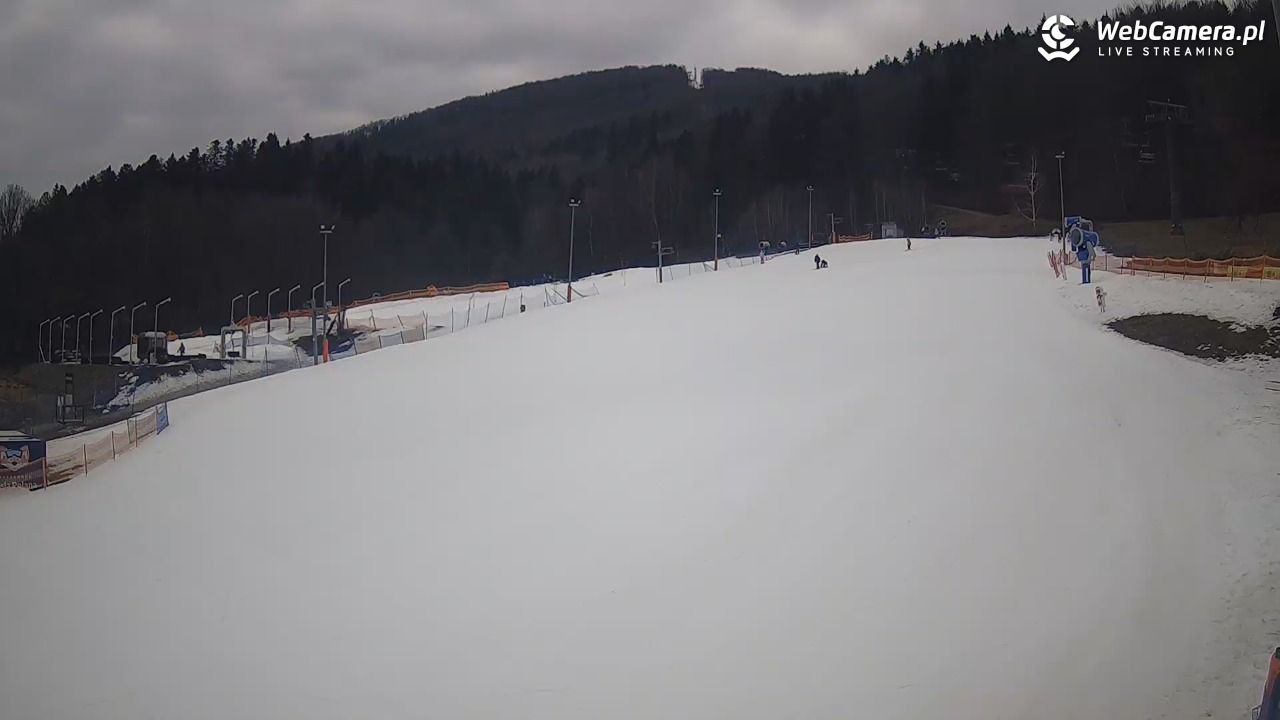 LISIA POLANA w Ustroniu - Nowość - 01 marzec 2026, 10:12