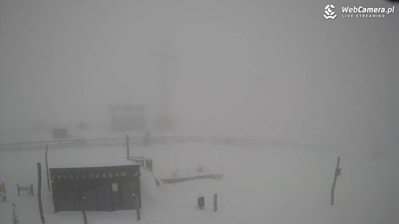 Grapa-Litwinka - 28 marzec 2026, 12:13