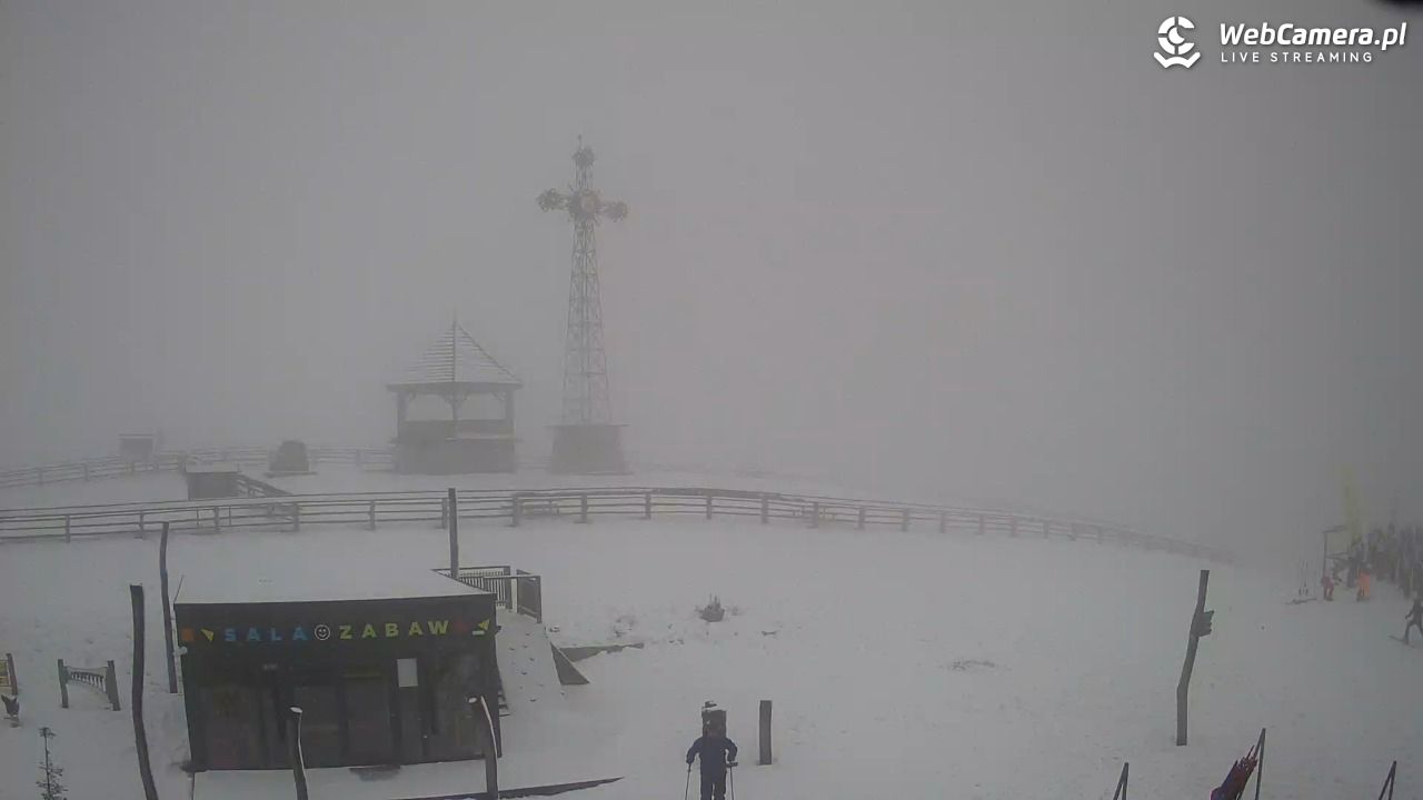 Grapa-Litwinka - 08 luty 2026, 10:33