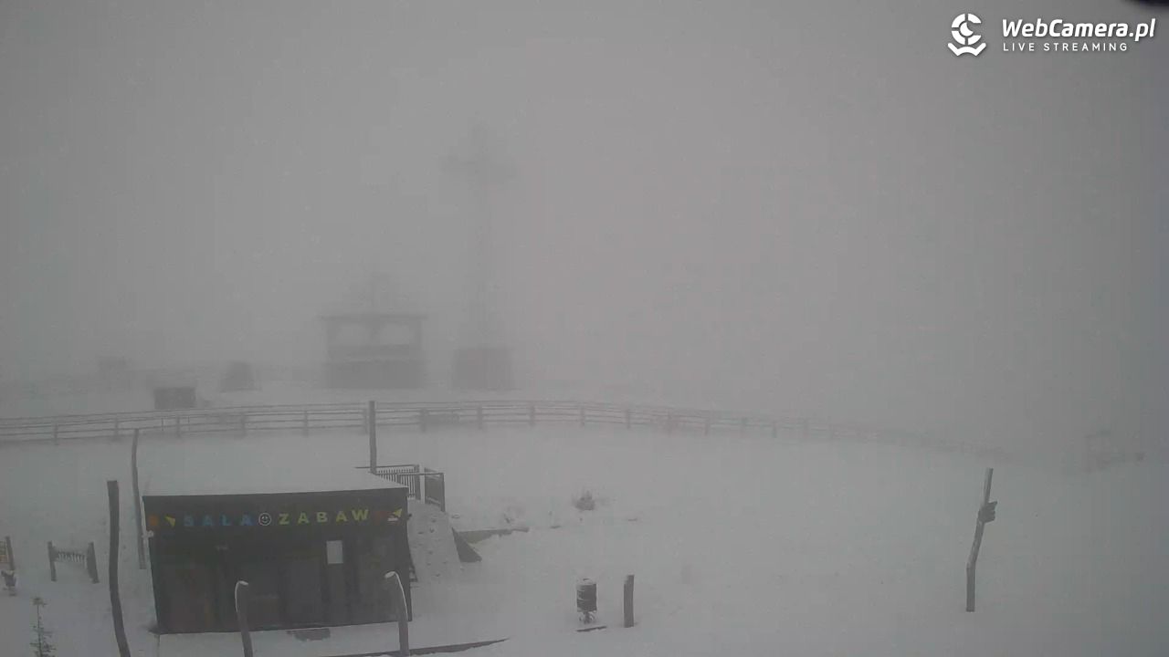 Grapa-Litwinka - 09 luty 2026, 08:26