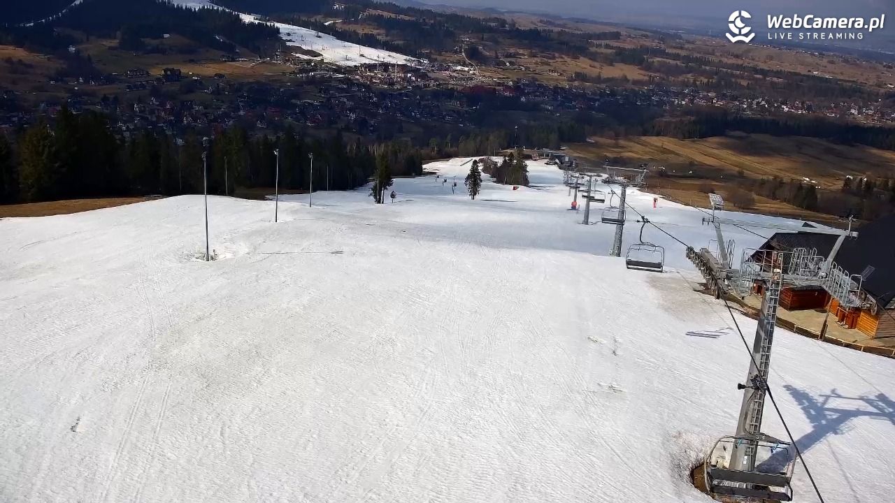 Grapa Litwinka - Czarna Góra - 18 marzec 2026, 11:16