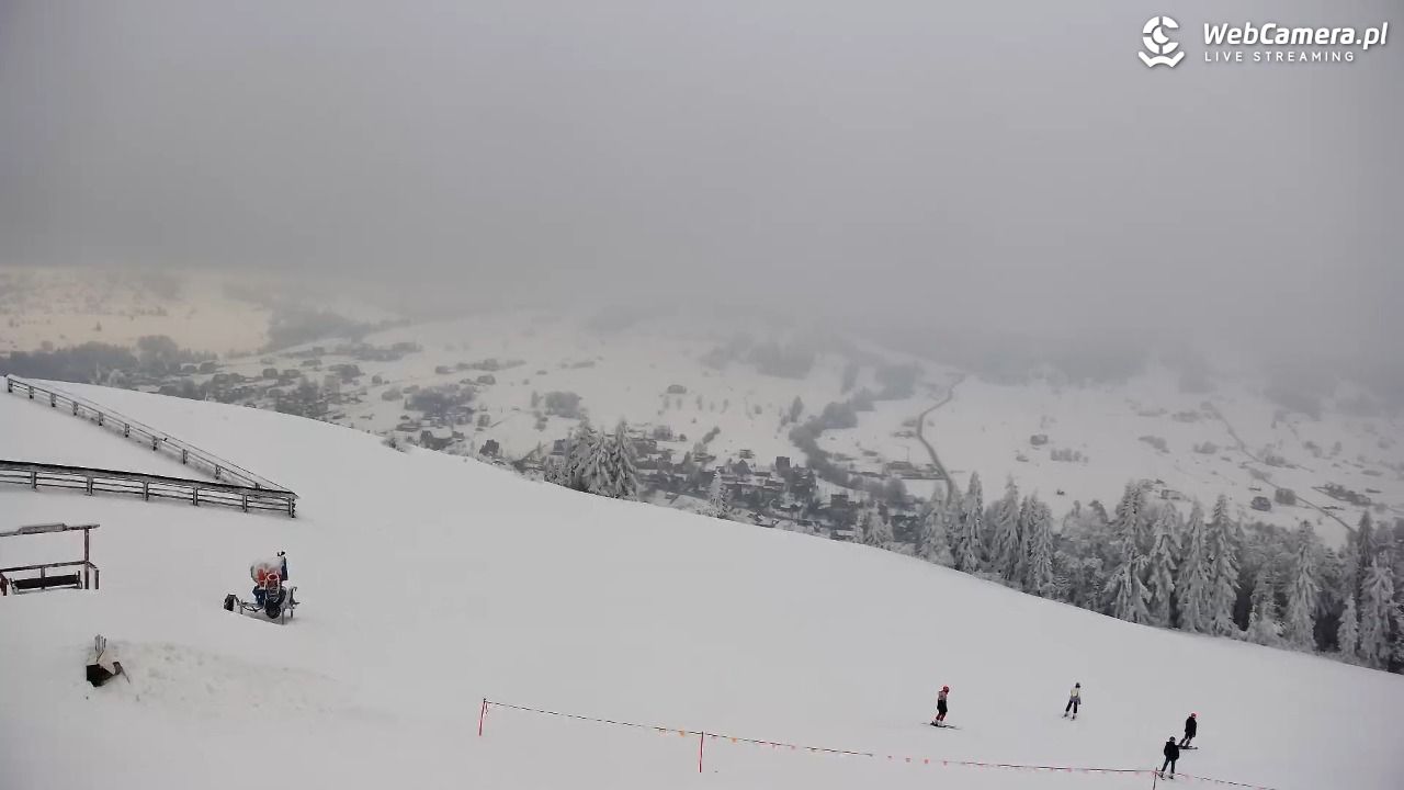 Grapa Litwinka - Czarna Góra - 01 luty 2026, 13:52