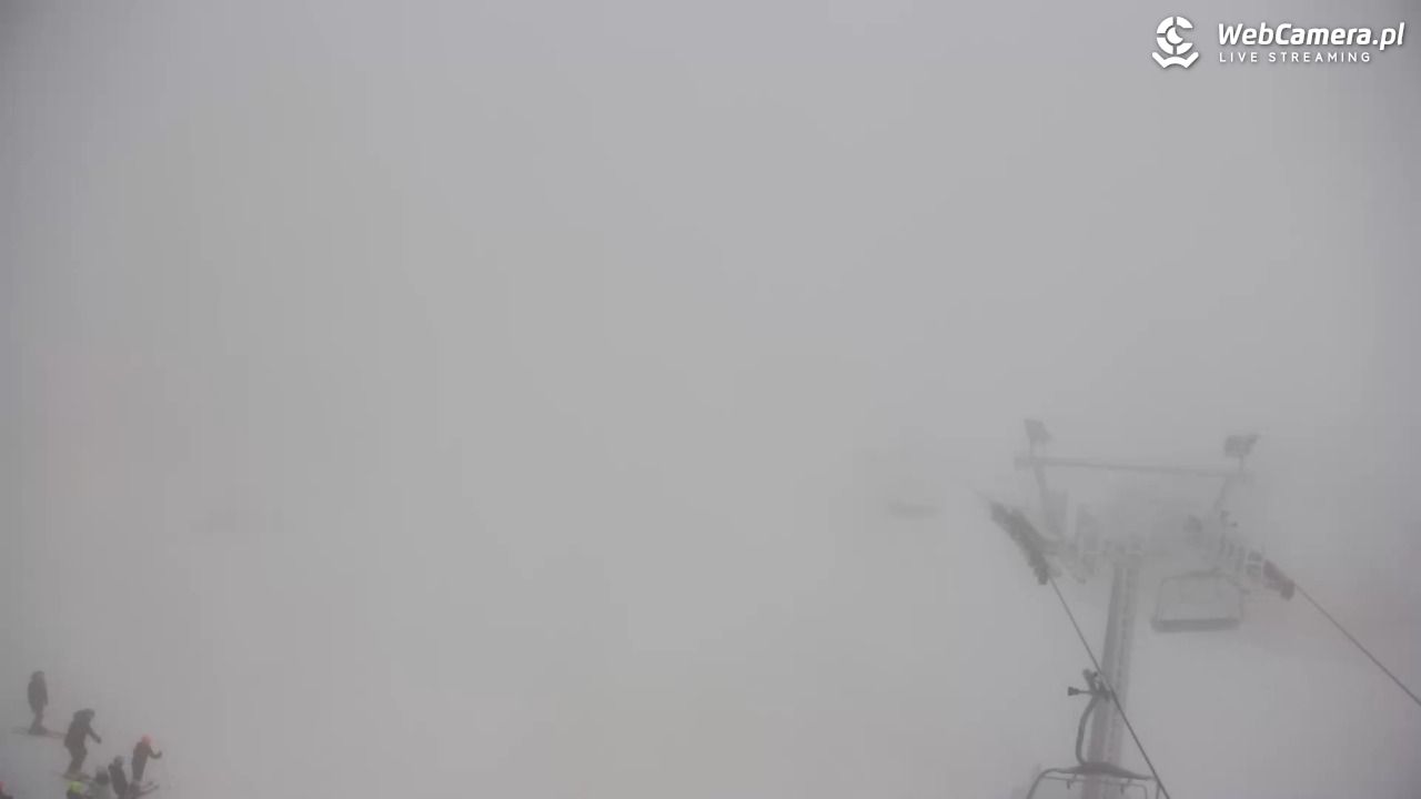 Grapa Litwinka - Czarna Góra - 31 styczeń 2026, 08:33