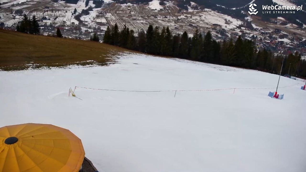 Grapa Litwinka - Czarna Góra - 18 grudzień 2025, 07:27