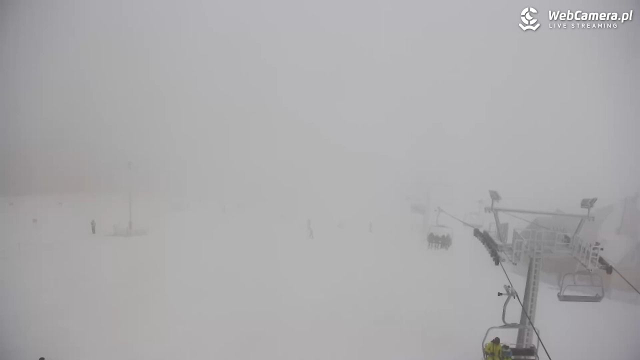 Grapa Litwinka - Czarna Góra - 31 styczeń 2026, 10:18