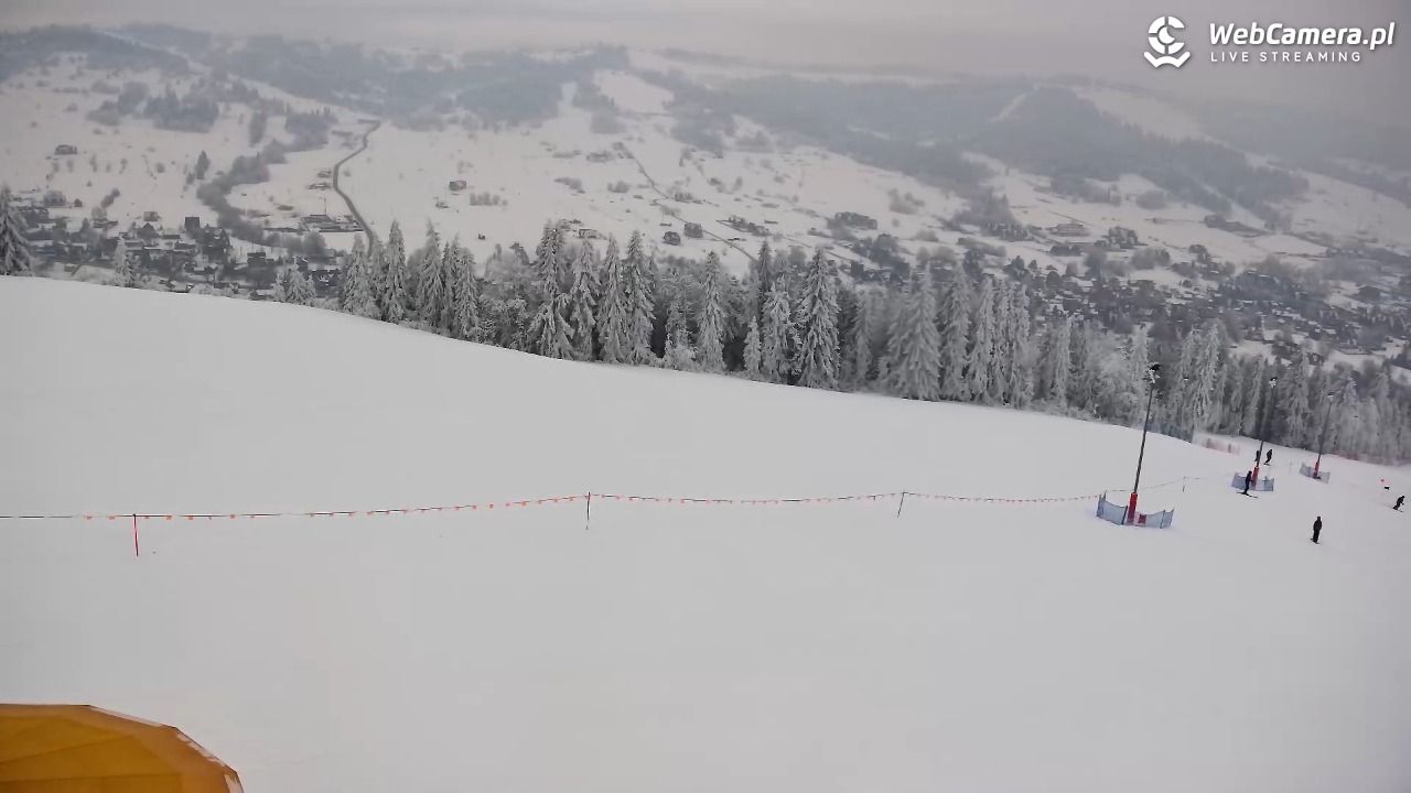 Grapa Litwinka - Czarna Góra - 01 luty 2026, 13:07