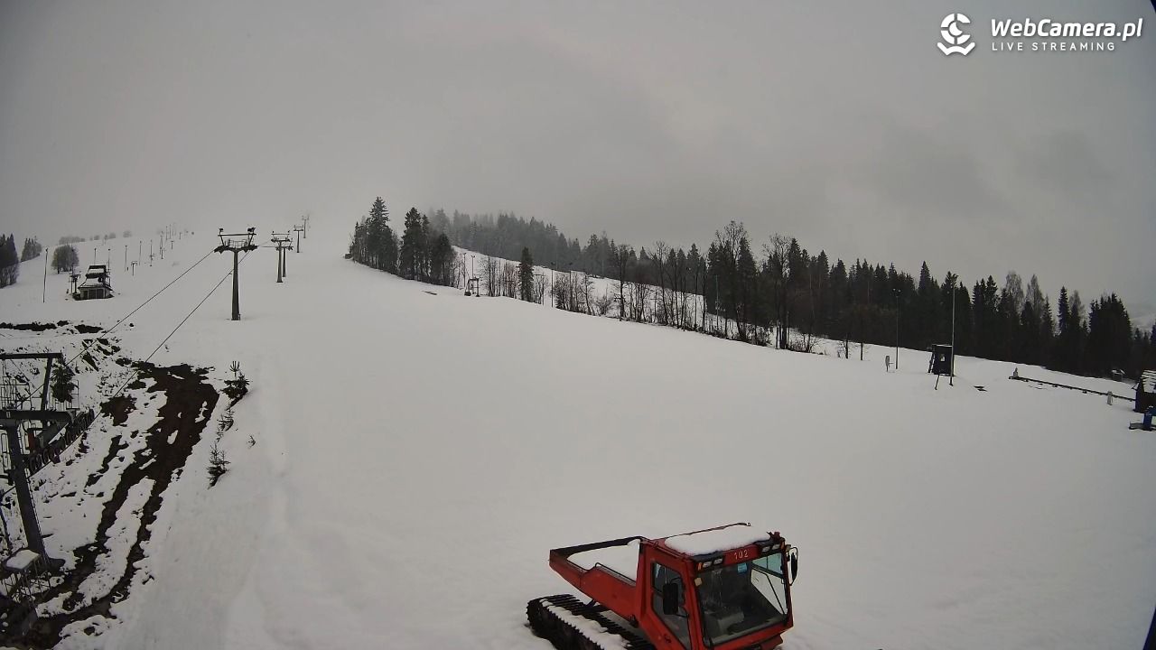 Grapa Litwinka Czarna Góra - 30 marzec 2026, 17:58