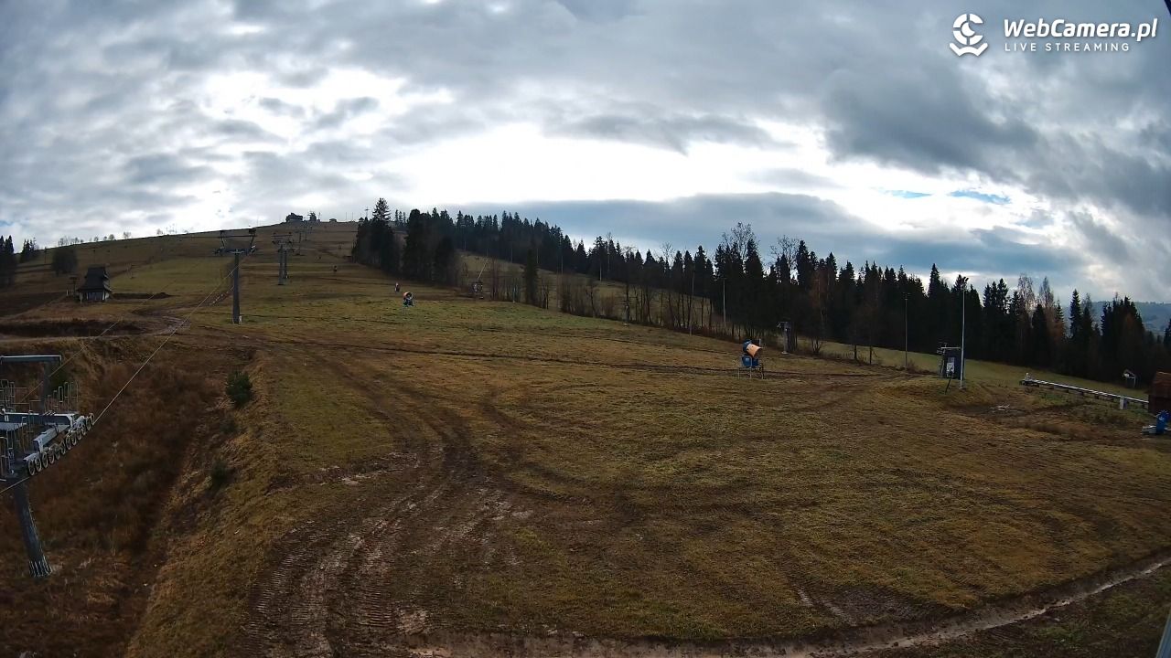 Grapa Litwinka Czarna Góra - 10 listopad 2025, 09:51