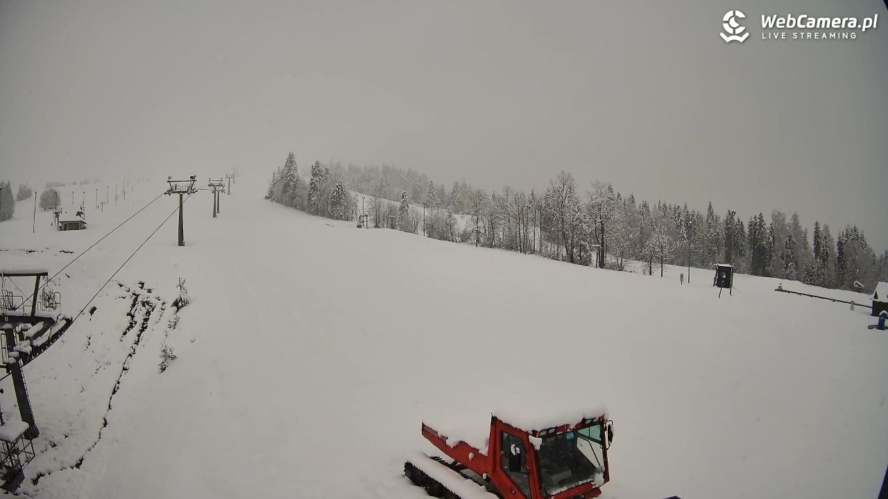 Grapa Litwinka Czarna Góra - 27 marzec 2026, 12:45