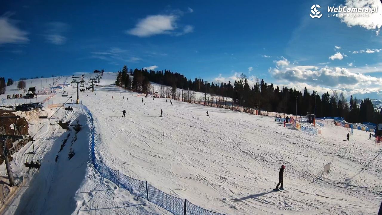 Grapa Litwinka Czarna Góra - 11 luty 2026, 14:01